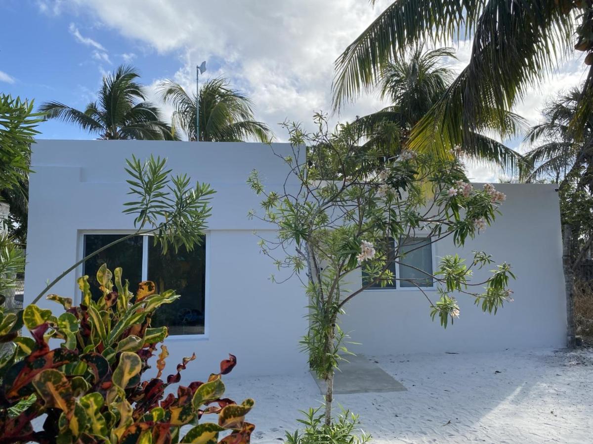 Casa Colibri El Cuyoアパートホテル エクステリア 写真